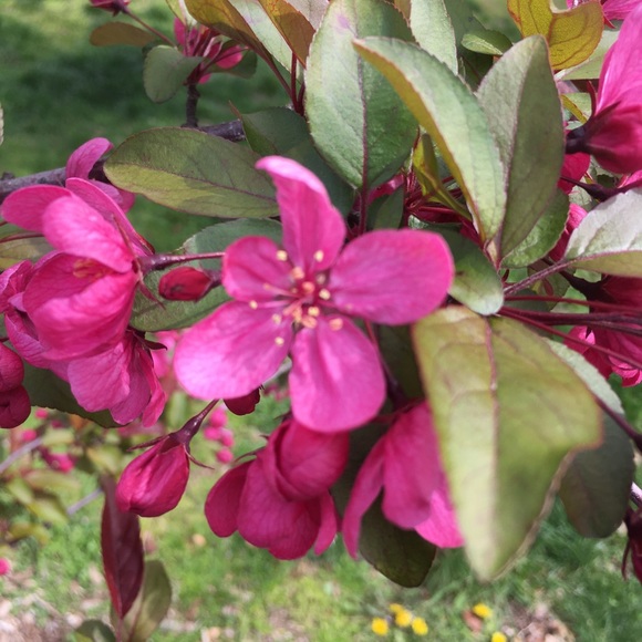 Meet your Posher, Terry - Picture 6 of 16